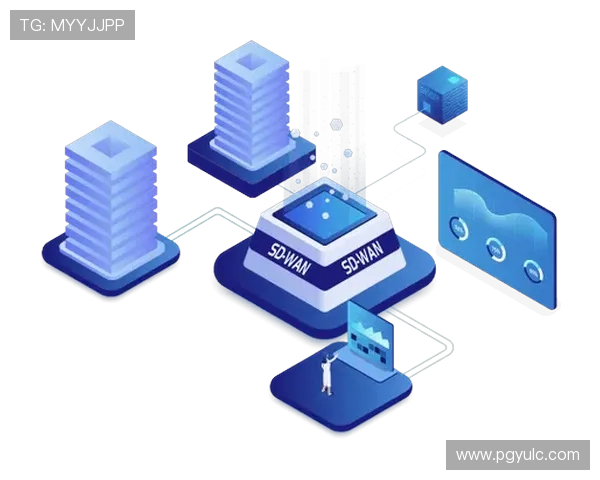 P2P直播插件的技术原理与应用场景全解析 P2P直播插件的技术原理与应用场景全解析