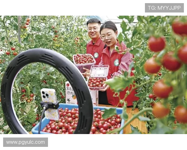 TY一直播:探索直播行业的新趋势与未来 TY一直播:探索直播行业的新趋势与未来